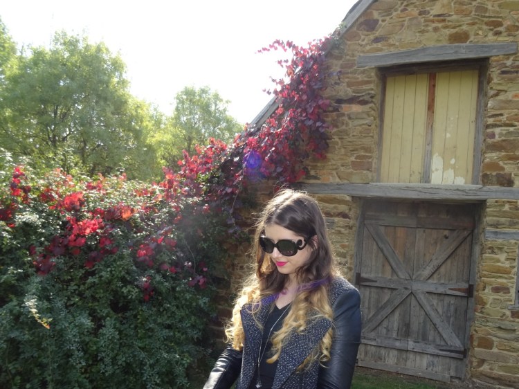 IMG_6541 - Version 2